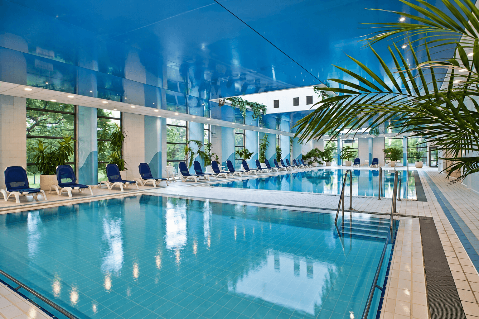 🏨 𝗗𝗮𝗻𝘂𝗯𝗶𝘂𝘀 𝗛𝗲𝗹𝗶𝗮